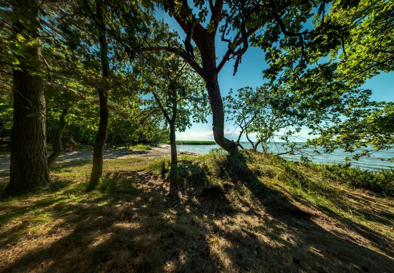 Traumhaff Historischer Kahnschifferhof Mit Kamin, Liebevoll Restauriert Vogelsang-Warsin ภายนอก รูปภาพ